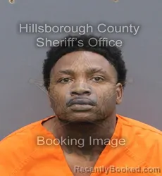 Mugshot of EUGENE GENEO IV FIELDS booked in Hillsborough County, Florida on June 18, 2026