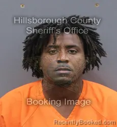 Mugshot of ROSSONNO CORNELIUS JR BORDERS booked in Hillsborough County, Florida on June 18, 2026