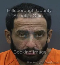 Mugshot of JOSE ANGEL DOMINICCI RAMOS booked in Hillsborough County, Florida on June 18, 2026