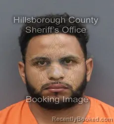 Mugshot of GERMAN ANTONIO GONZALEZ VILLEGAS booked in Hillsborough County, Florida on June 18, 2026