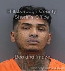 Mugshot of SARY MEACH booked in Hillsborough County, Florida on June 18, 2026