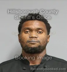 Mugshot of DANIEL DARNELL JR COLLINS booked in Hillsborough County, Florida on June 18, 2026