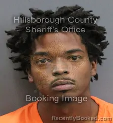 Mugshot of SHANE DEMETRIUS YOUNG booked in Hillsborough County, Florida on June 18, 2026