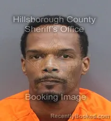 Mugshot of DWIGHT LENORD JR TURNER booked in Hillsborough County, Florida on June 18, 2026