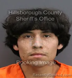Mugshot of MISAEL CLAVEL booked in Hillsborough County, Florida on June 18, 2026