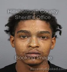 Mugshot of KAYLIN ERIC STARKS booked in Hillsborough County, Florida on June 18, 2026