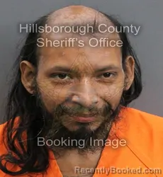 Mugshot of GAREL SIGUENCIA booked in Hillsborough County, Florida on June 18, 2026