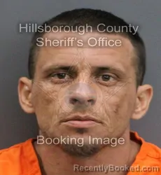 Mugshot of EVERALDO JUAQUIN ALVAREZ BURQUENO booked in Hillsborough County, Florida on June 18, 2026