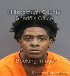Mugshot of BRAYLE RICHARD STARKS booked in Hillsborough County, Florida on June 18, 2026