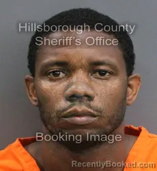 Mugshot of KAEDRYN S STUBBS booked in Hillsborough County, Florida on June 18, 2026