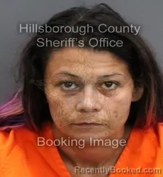Mugshot of MALISA M REEVES booked in Hillsborough County, Florida on June 18, 2026