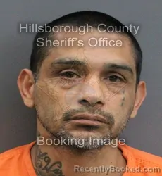 Mugshot of ELISEO G SALDANA booked in Hillsborough County, Florida on June 18, 2026