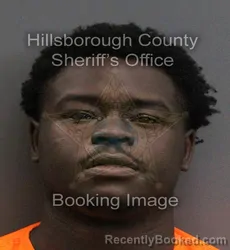 Mugshot of EMONTE DERIC TIMMONS booked in Hillsborough County, Florida on June 18, 2026