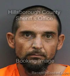 Mugshot of THOMAS WAYNE JERKINS booked in Hillsborough County, Florida on June 18, 2026