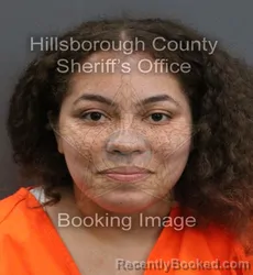 Mugshot of CAROLINE CHERYL RUIZ booked in Hillsborough County, Florida on June 18, 2026