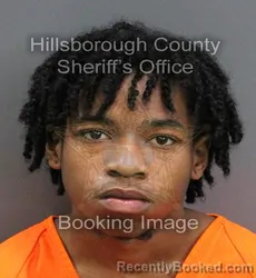 Mugshot of RICKY DARON JR AUSTIN booked in Hillsborough County, Florida on June 18, 2026