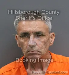 Mugshot of CELESTINO CLINT MAGILL booked in Hillsborough County, Florida on June 18, 2026