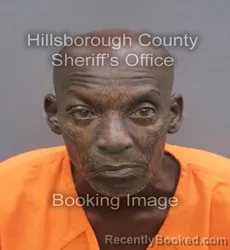 Mugshot of CHARLIE JR MCCRAY booked in Hillsborough County, Florida on June 18, 2026