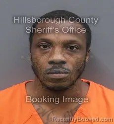 Mugshot of TIMOTHY JAJWVAN THROW booked in Hillsborough County, Florida on June 18, 2026