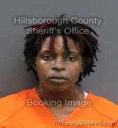 Mugshot of MARKAYA AYANNA WILSON booked in Hillsborough County, Florida on June 18, 2026