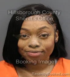 Booking photo from Hillsborough County, Florida