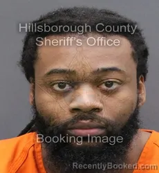 Booking photo from Hillsborough County, Florida