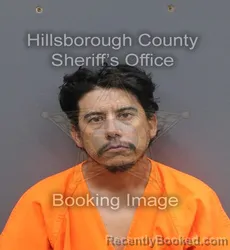Mugshot of HOMER TREVINO booked in Hillsborough County, Florida on June 19, 2026