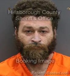 Mugshot of VIDOLL BRISHAUN HORNE booked in Hillsborough County, Florida on June 19, 2026
