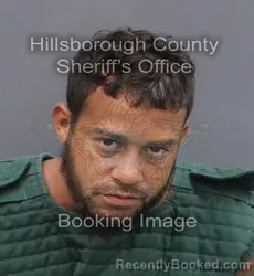 Mugshot of ANDREW ALLEN BLAIR booked in Hillsborough County, Florida on June 19, 2026