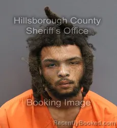 Mugshot of TRAYVON EDWARD LEE booked in Hillsborough County, Florida on June 19, 2026