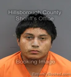 Mugshot of ALAN GONZALEZ booked in Hillsborough County, Florida on June 19, 2026