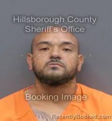 Mugshot of GIOVANNI GIL-RAMOS booked in Hillsborough County, Florida on June 19, 2026