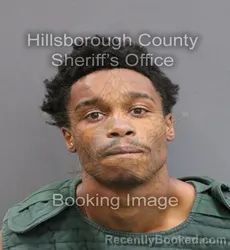 Mugshot of AMORI WANELL SMITH booked in Hillsborough County, Florida on June 19, 2026