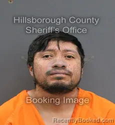 Mugshot of JOAQUIN VINCENTE DEL ANGEL booked in Hillsborough County, Florida on June 19, 2026