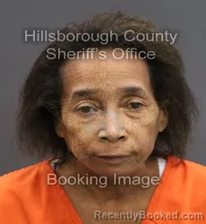 Mugshot of KAREN MICHELLE CINO booked in Hillsborough County, Florida on June 19, 2026