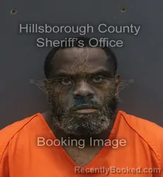 Mugshot of PATRICK CHARLES DAVIS booked in Hillsborough County, Florida on June 19, 2026