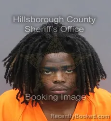 Mugshot of DAVEON MARQUISE BROWN booked in Hillsborough County, Florida on June 19, 2026