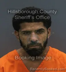 Mugshot of FERNANDO MONGE PEREZ booked in Hillsborough County, Florida on June 19, 2026