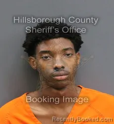 Mugshot of TIMATHIE DENNARD HARRELL booked in Hillsborough County, Florida on June 19, 2026