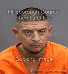 Mugshot of DANIEL HERNANDEZ booked in Hillsborough County, Florida on June 19, 2026