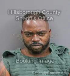 Mugshot of TRESTON CHAVELLE GIPSON booked in Hillsborough County, Florida on June 19, 2026