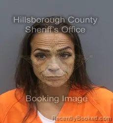 Mugshot of JULIE ANNE SAVOIA booked in Hillsborough County, Florida on June 19, 2026
