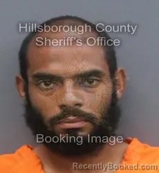 Mugshot of MICHAEL A FILPO ESTEVEZ booked in Hillsborough County, Florida on June 19, 2026