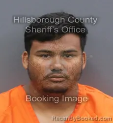 Mugshot of JONATHAN E REYES ALVARENGA booked in Hillsborough County, Florida on June 19, 2026