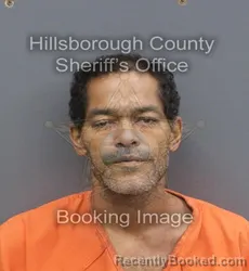 Mugshot of ALEXIS LOPEZ SANCHEZ booked in Hillsborough County, Florida on June 19, 2026