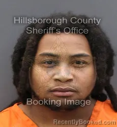 Mugshot of LOUIS DAVID JOHNSON