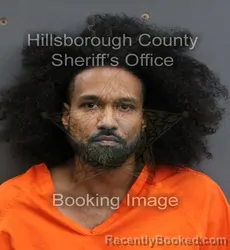 Mugshot of BRIAN CONRAD PHILLIP II BALLADIN booked in Hillsborough County, Florida on June 19, 2026