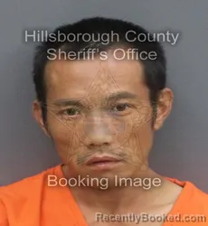 Mugshot of VIEN V HUYNH booked in Hillsborough County, Florida on June 19, 2026