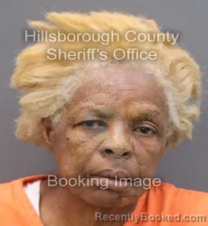 Mugshot of ANNETTE FAGAN