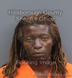 Mugshot of JASON DENNIS WALTON booked in Hillsborough County, Florida on June 19, 2026